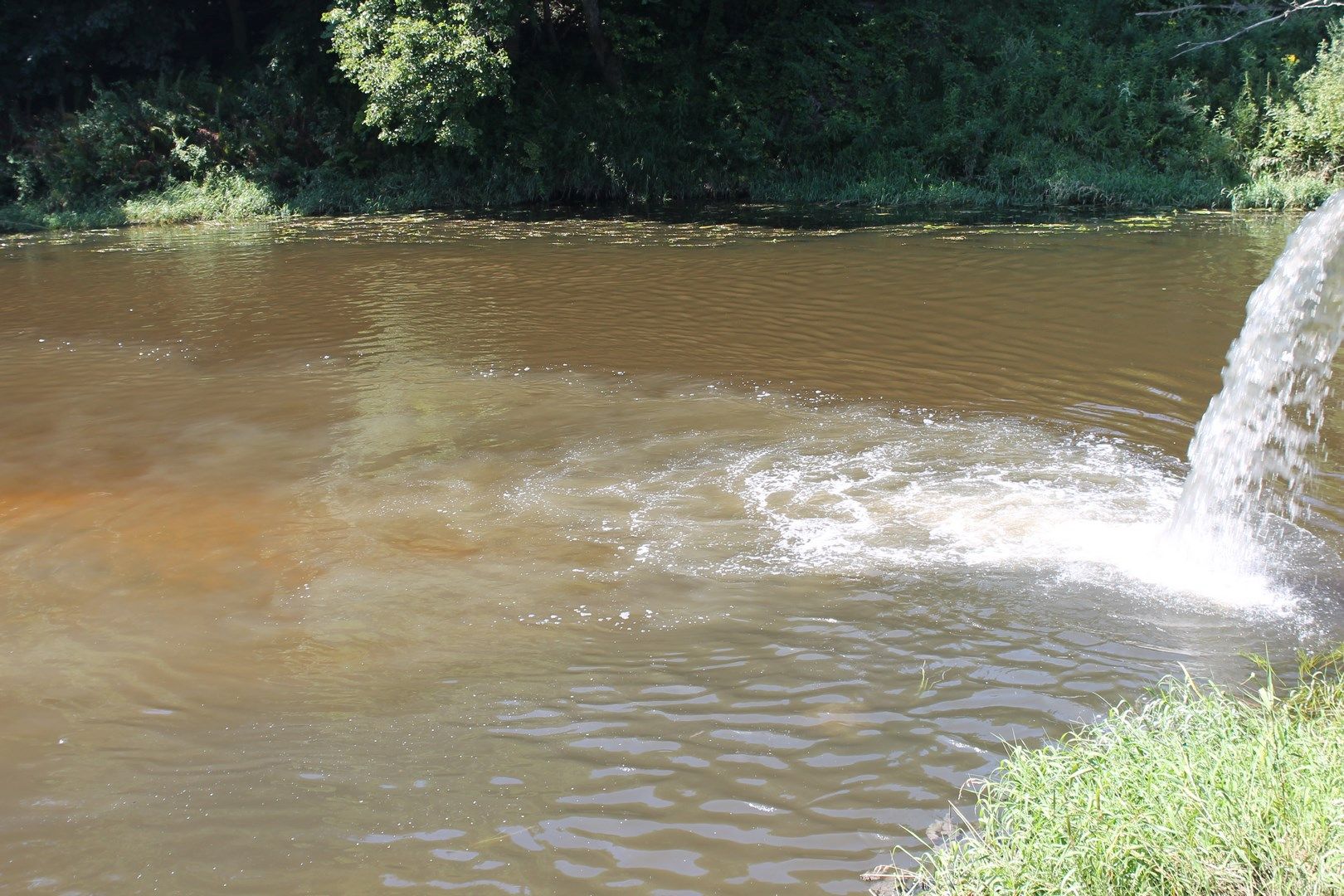 Купание в сточных Водах. Рыбалка Болва река. Река Болва Калужская область. Сточные воды Калужской области.