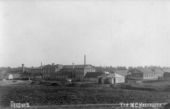 Панорама Песоченской Фаянсовой фабрики, 1910-е гг.