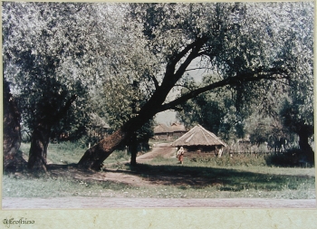 Деревня Устрошино во время оккупации