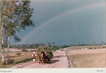 Крестьянка с телегой сена, Калужская область 1942 год
