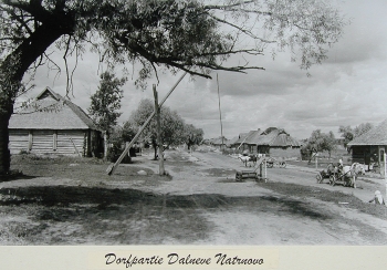Часть деревни Дальнее Натраново, 1943 год