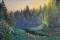 С.КОСЕНКОВ. Лесной ручей