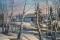 С.КОСЕНКОВ. Пришли весенние деньки. х/м.