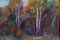 В.ХОВАНСКИЙ. Осенний лес в вечерних лучах. 2007 г.; к/акрил; 27,5х35 см.