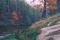 А.ЗОРЮКОВ. Над Болвою дуб желтеет. 1999 г.; х/м; 77х50