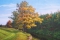 А.ЗОРЮКОВ. Болва. Шум. Осень. 2002 г.; х/м; 75х120
