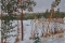 А.ЗОРЮКОВ. Этюд 19.02.2003 г.