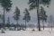 А.ЗОРЮКОВ. Сосны на Нижнем озере. 2003 г.; х/м; 52х120 см.