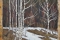 А.ЗОРЮКОВ. Этюд.11.03.2019 г.