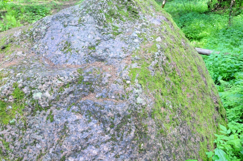 Смоловский камень-капище